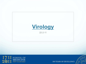 Virology practical