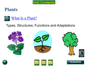 What is a Plant Notes