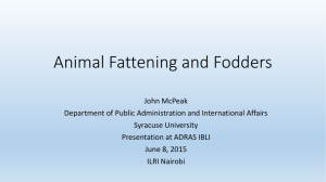 Animal Fattening