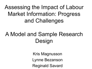 Assessing the Impact of Labour Market Information: Progress and