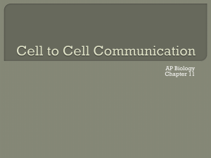 Ch. 11 Cell Communication