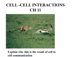 cell-cell interaction notes