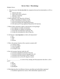 Review Sheet - Microbiology