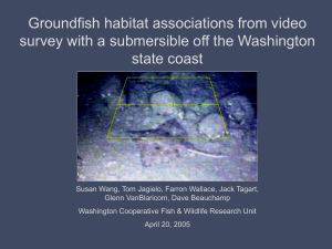 Groundfish habitat associations from video survey with a