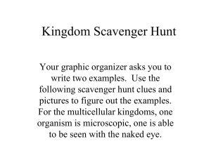 KingdomScavengerHunt
