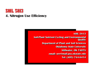 4. Nitrogen Use Efficiency - SOIL 5813