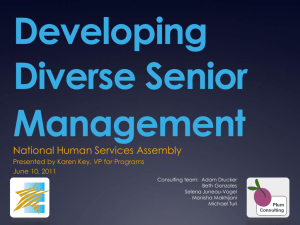 Developing Senior Management Diversity in National Human
