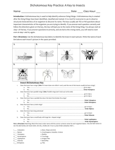 Dichotomous Key Practice: A Key to Insects Name: Date: ____ Class