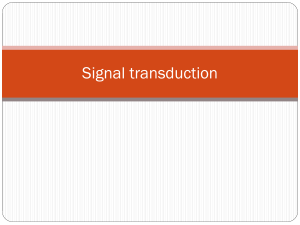 Signal transduction 1