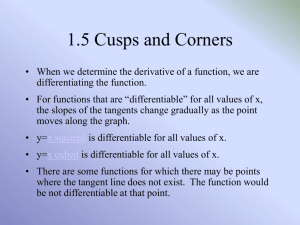 Cusps and Corners -PPT