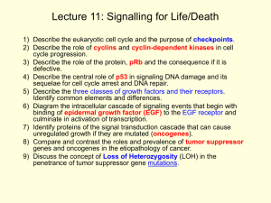 Lecture 11: Signalling for Life/Death