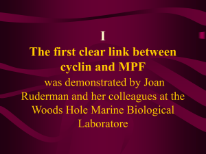 Ⅰ The first clear link between cyclin and MPF