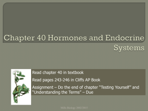 Chapter 13 The Endocrine System