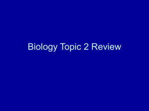 Biology Topic 1 Review