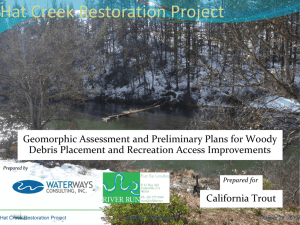Geomorphic Assessment and Preliminary Plans for Woody Debris