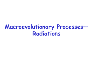 Macroevolutionary processes