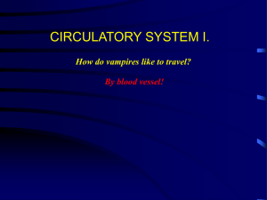 circulatory system text a