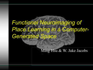 Functional Neuroimaging of Place Learning in a Computer