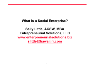 What is Social Enterprise?