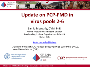 Update on PCP-FMD in virus pools 2-6