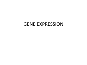 Gene expression - UMK CARNIVORES 3