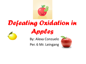 Defeating Oxidation in Apples