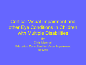 Cortical Visual Impairment and other Eye