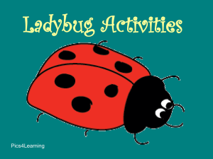 Ladybugs - Kids