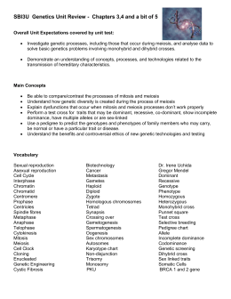 studylib.net - Essys, homework help, flashcards, research papers, book