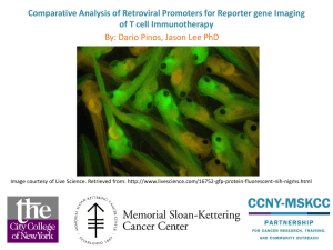 Comparative analysis of retroviral promoters for reporter gene