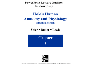 chapter_6_powerpoint_le