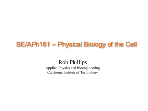 FinalLecture - Rob Phillips Group