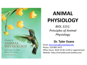 5.) chemical energy - Evans Laboratory: Environmental Physiology