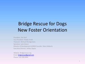 Foster Power Point - Bridge Rescue for Dogs, Inc.