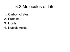3.2 Molecules of Life