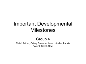 Important Developmental Milestones
