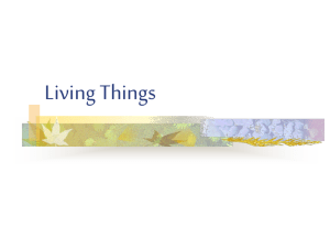 Living Things - Primary Resources