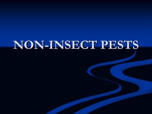 NON-INSECT PESTS