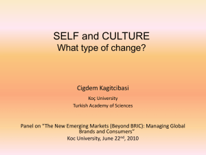 SELF and CULTURE What type of change?