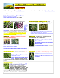 Bean 'Field Guide' w photos and links