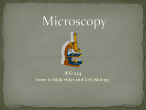 Microscopy - Workforce Solutions