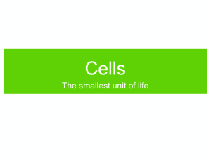 Ch5-Cells