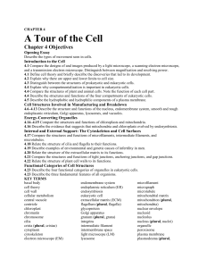 CH 4 Objectives ---A Tour of The Cell