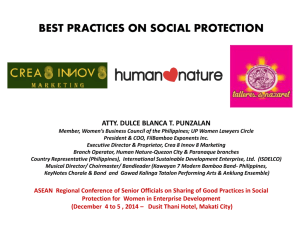 Annex 21 - Best Practices Social Protection Crea8 Innov8