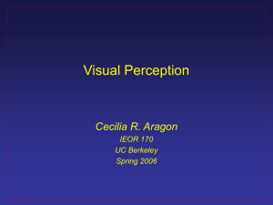 Visual Perception lecture