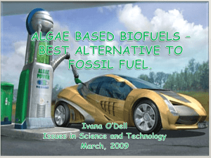 algae based biofuels – best alternative to fossil fuel.