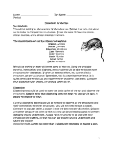Rat Dissection Packet