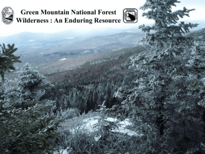 Green Mountain National Forest Wilderness : An