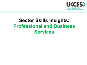 professional and business services summary slide pack