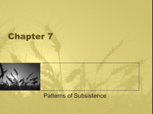 Chapter 17, Patterns of Subsistence